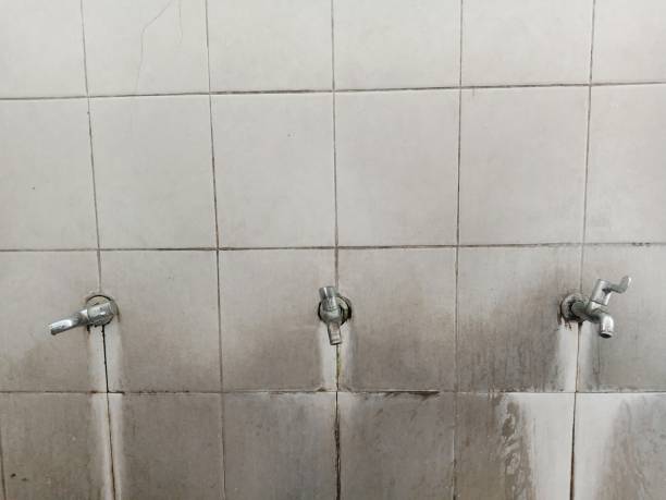 Best Sewage cleanup and water damage restoration  in Hartford, KY